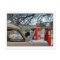 Tuxedo Cat, New Mexico Gasoline Station Museum