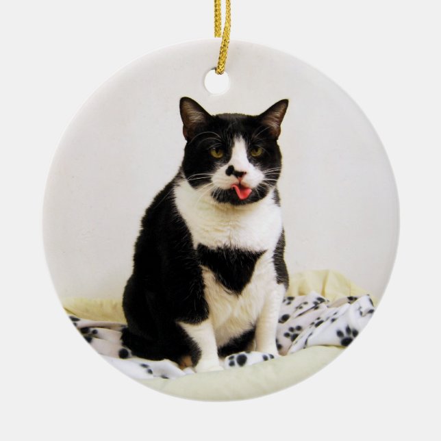Tuxedo Cat Ornament (Front)