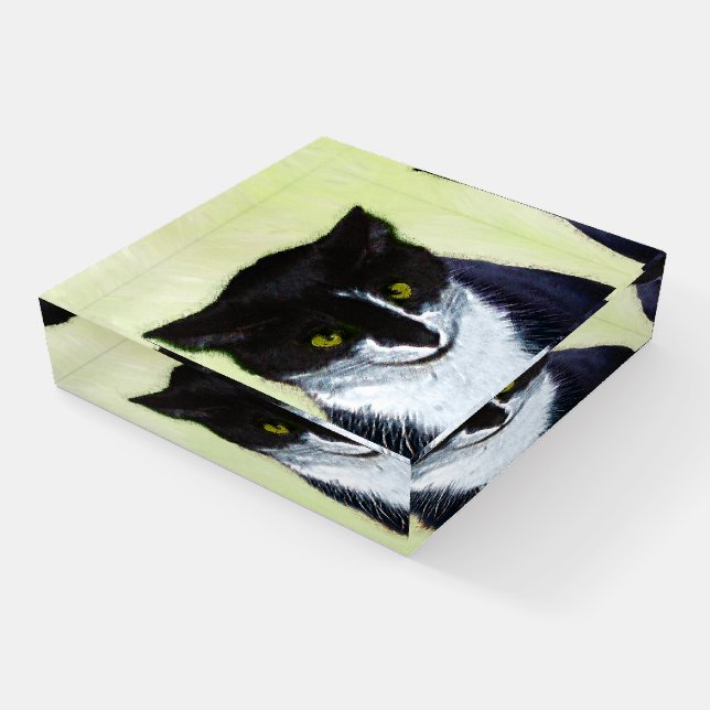 Tuxedo Cat Painting - Cute Original Cat Art Paperweight (Angled)