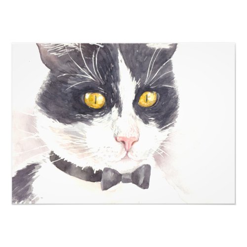 Tuxedo cat photo print