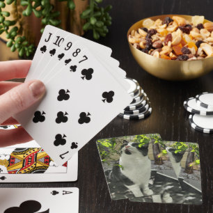 Tuxedo Cat Poker Cards