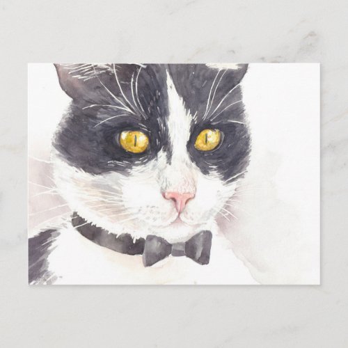 Tuxedo cat postcard
