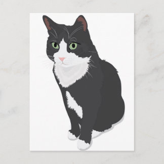 Tuxedo Cat Postcard
