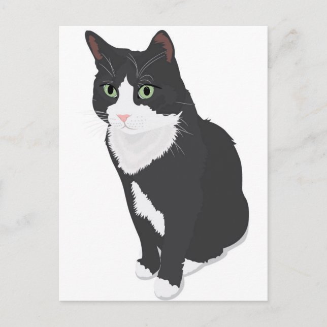 Tuxedo Cat Postcard (Front)
