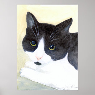 Tuxedo Cat Poster