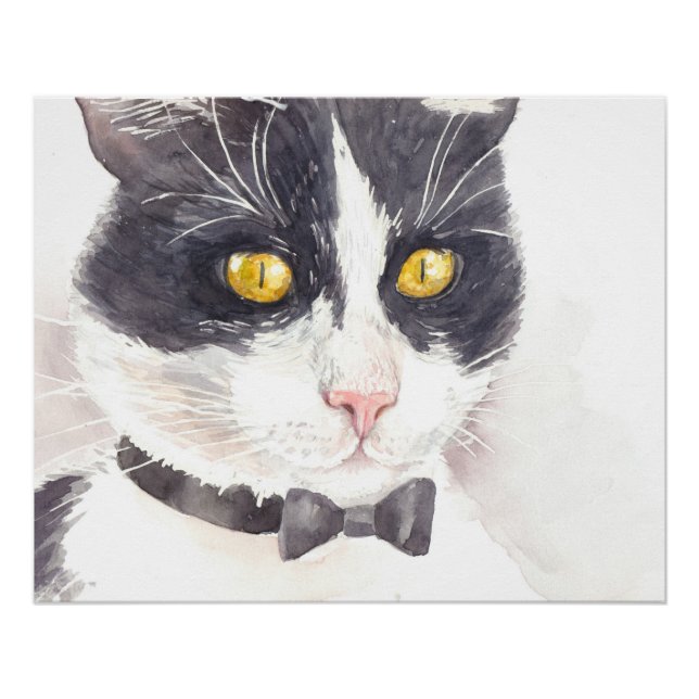 Tuxedo cat poster (Front)