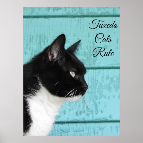 Tuxedo Cat Profile on Teal  Poster