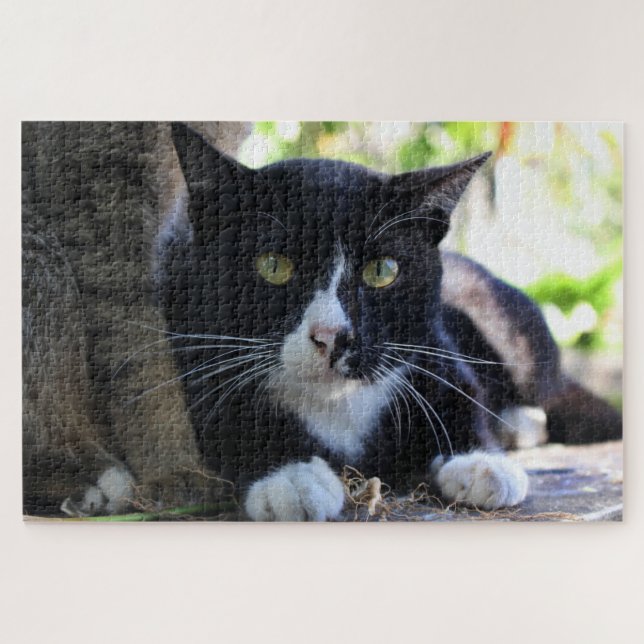 tuxedo cat puzzle (Horizontal)