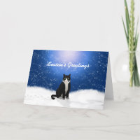 Tuxedo Cat Seasons Greetings Card