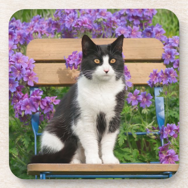 Tuxedo cat sitting on a garden chair with flowers beverage coaster (Front)