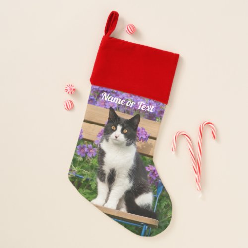 Tuxedo cat sitting on a garden chair with flowers christmas stocking
