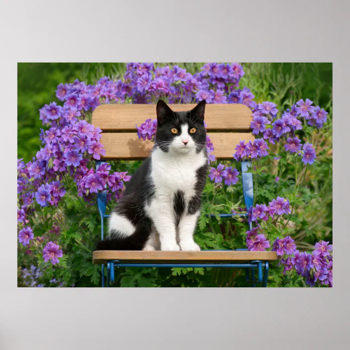 I Do What I Want Tuxedo Cat Gardening Poster Art Print Decor Home. 