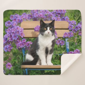 Tuxedo Cat Sitting On A Garden Chair With Flowers Sherpa Blanket by Kathom_Photo at Zazzle