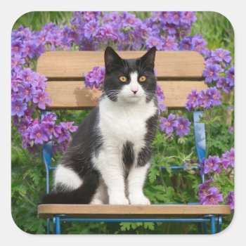 Tuxedo Cat Sitting On A Garden Chair With Flowers Square Sticker by Kathom_Photo at Zazzle