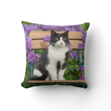Tuxedo cat sitting on a garden chair with flowers