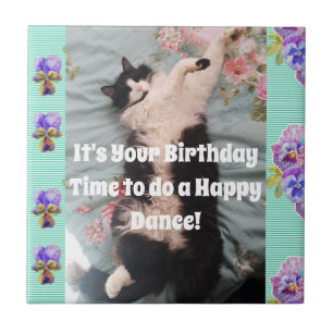 Tuxedo Cat Sleeping Funny Cats Happy Dance Tile