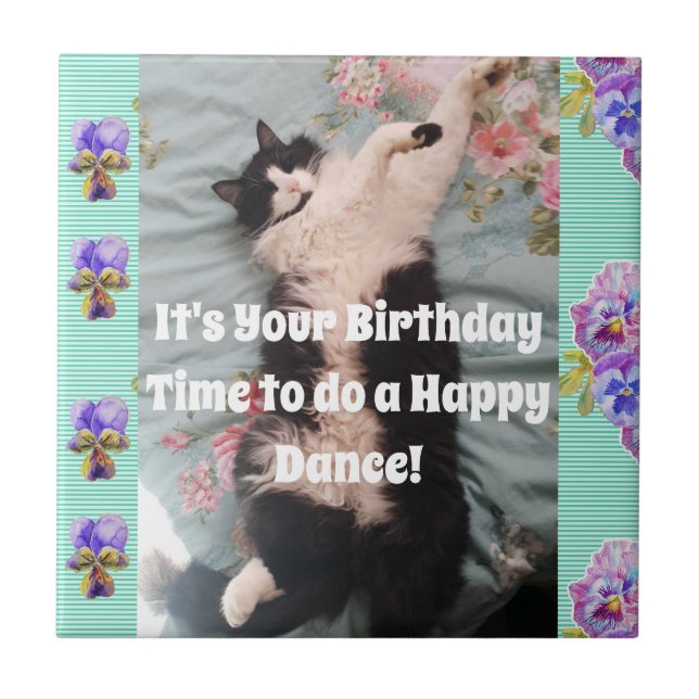 Tuxedo Cat Sleeping Funny Cats Happy Dance Tile (Front)