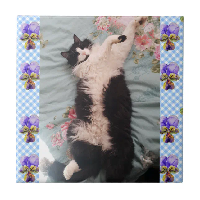 Tuxedo Cat Sleeping Funny Cats viola Ceramic Tile | Zazzle