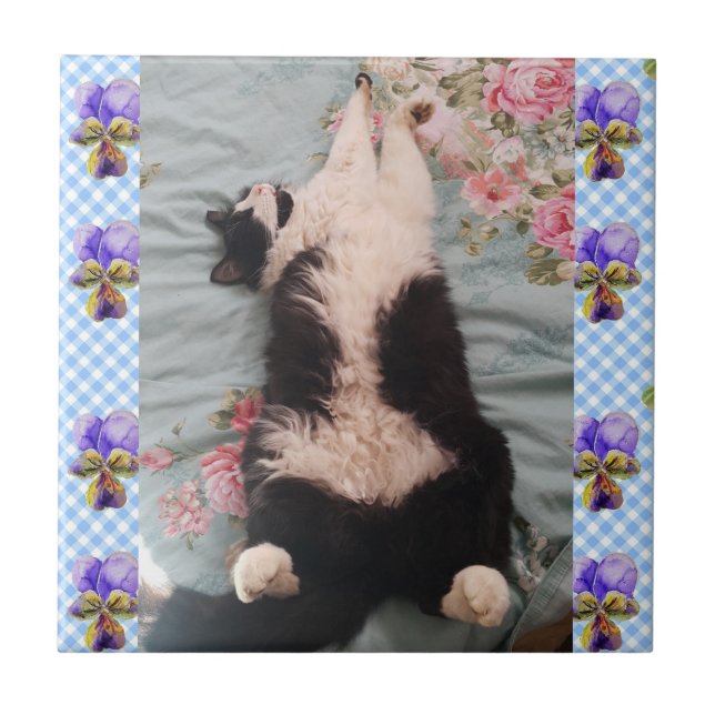 Tuxedo Cat Sleeping Funny Cats viola Ceramic Tile (Front)