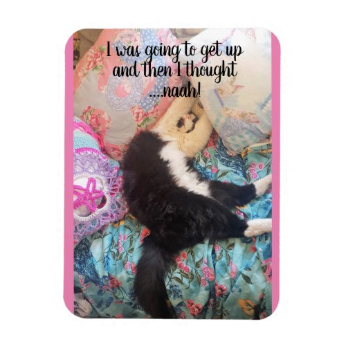 Tuxedo Cat Sleeping Funny Saying cats Magnet