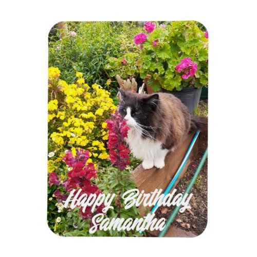 Tuxedo Cat Sniffing Flowers Cats Birthday Magnet