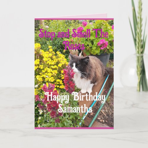 Tuxedo Cat Sniffing Flowers Funny Birthday Roses