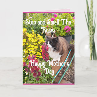Tuxedo Cat Sniffing Flowers Funny Mothers Day Pink Card