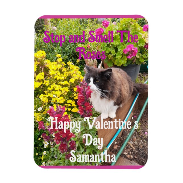 Tuxedo Cat Sniffing Flowers Funny Valentines Day Magnet (Vertical)