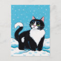 Tuxedo Cat Standing Knee Deep in Snow Painting Postcard