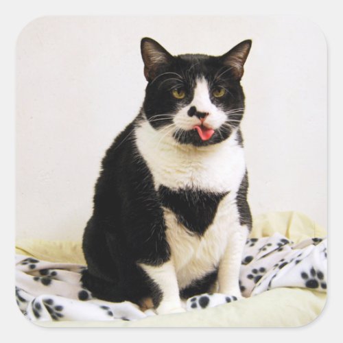 Tuxedo Cat Sticking Out Her tongue Square Sticker