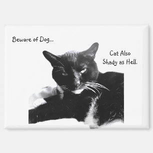 Tuxedo Cat with Shady Smile Magnet