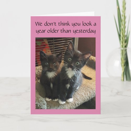 Tuxedo cats birthday or all occasion card