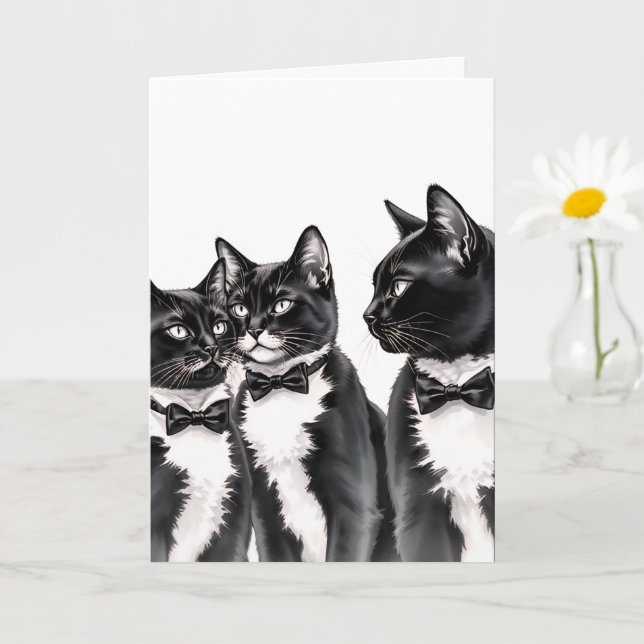 Tuxedo Cats Greetings Card (Small Plant)