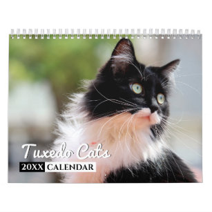 Tuxedo Cats Photo Wall Calendar