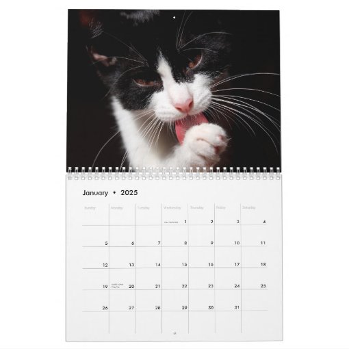 Tuxedo Cats Photo Wall Calendar Zazzle