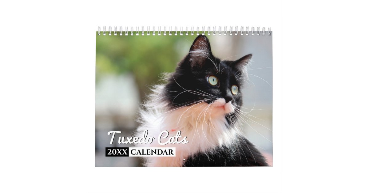 2024 Cats In Art Wall Calendar -12 Months Premium Planner Gift 2024 Cat  Garden Calendar Durable Easy To Use