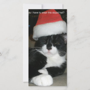 Tuxedo Christmas Holiday Card