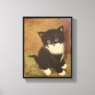 Tuxedo Kitten Canvas Print