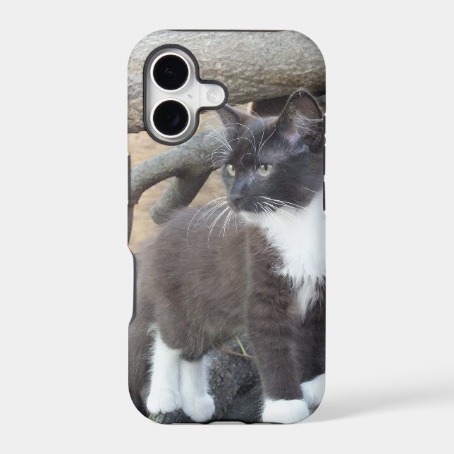 Tuxedo Kitten Case-Mate iPhone Case (Back)