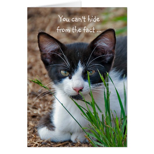 Tuxedo kitten hiding behind grass cards (Front)