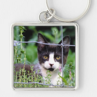 Tuxedo Kitten in the Garden Keychain