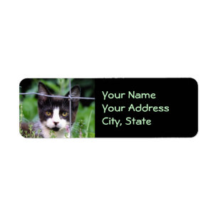 Tuxedo Kitten in the Garden Label