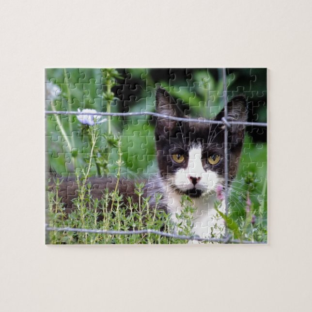 Tuxedo Kitten in the Garden Puzzle (Horizontal)