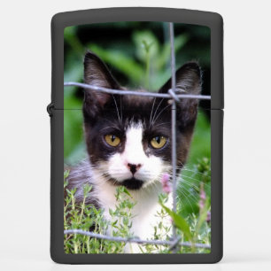 Tuxedo Kitten in the Garden Zippo Lighter