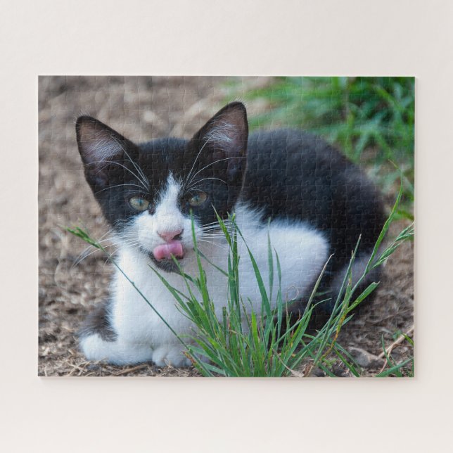 tuxedo kitten jigsaw puzzle (Horizontal)
