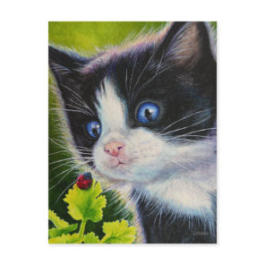 Tuxedo Kitten & Ladybug Watercolor Art Postcard