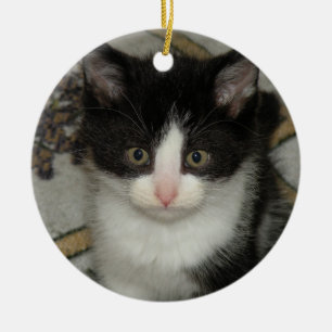 Tuxedo kitten ornament