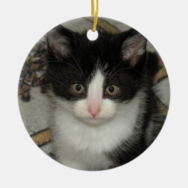 Tuxedo kitten ornament (Front)