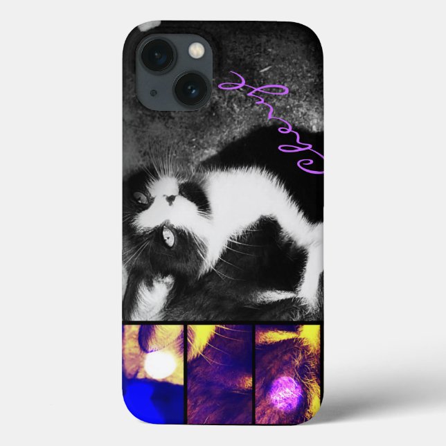 Tuxedo Kitten Photo Art iPad Air Case (Back)