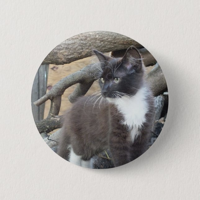 Tuxedo Kitten Pinback Button (Front)